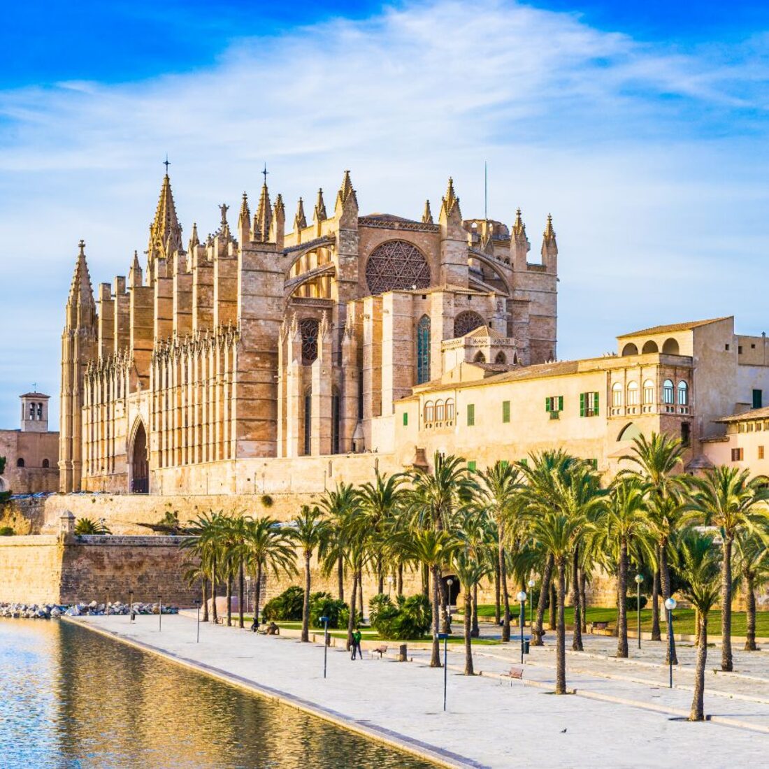 La Seu, Palma Cathedral, with palm trees and reflecting pool